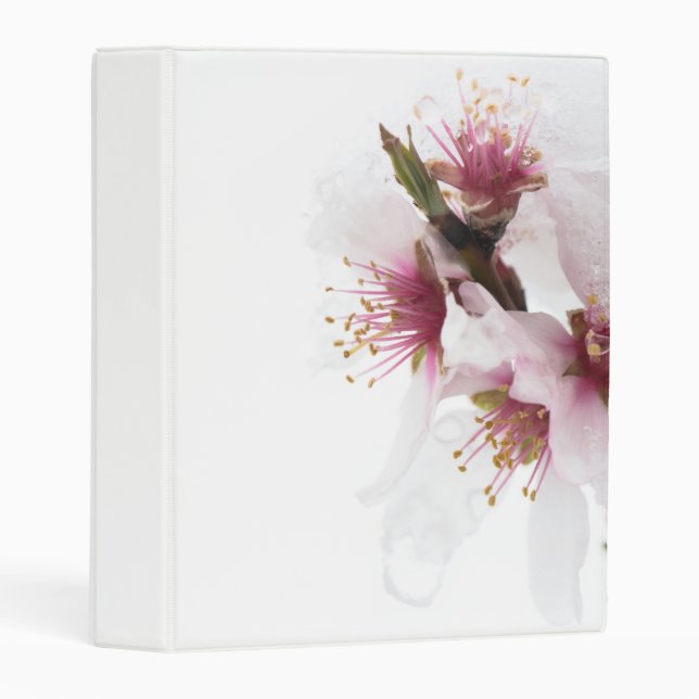Almond tree flowers covered by snow mini binder (Front/Spine)