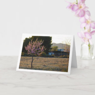 Almond Tree in Orchard Card