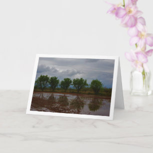 Almond Tree Landscape Card