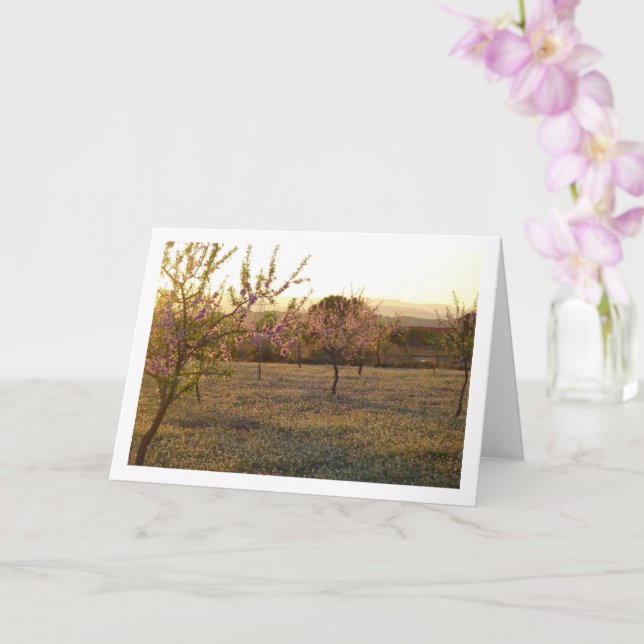 Almond Tree Orchard in Spring Card (Orchid)