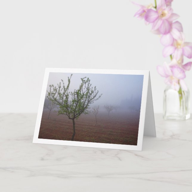 Almond Tree Orchard on Foggy Morning Card (Orchid)