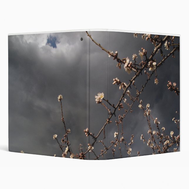 almond trees 3 ring binder (Background)