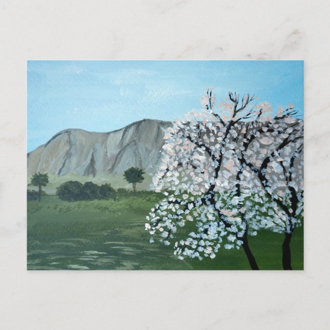 Almond trees in blossom | Italy, Sicily | Mountain Postcard (Front)