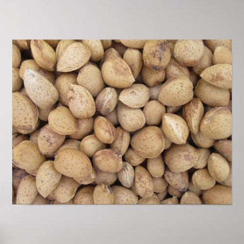 Almonds Fall Autumn Patterns Poster