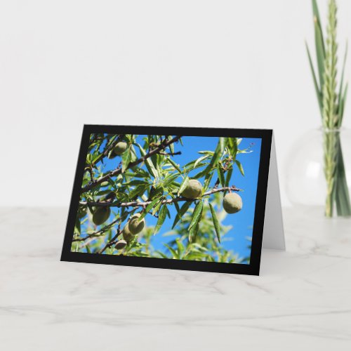 Almonds in Blue Sky Card