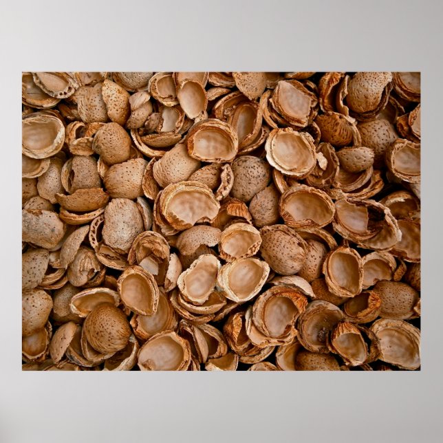 Almonds shells empty cracked poster (Front)