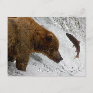 Almost, Brooks Falls Alaska  Postcard