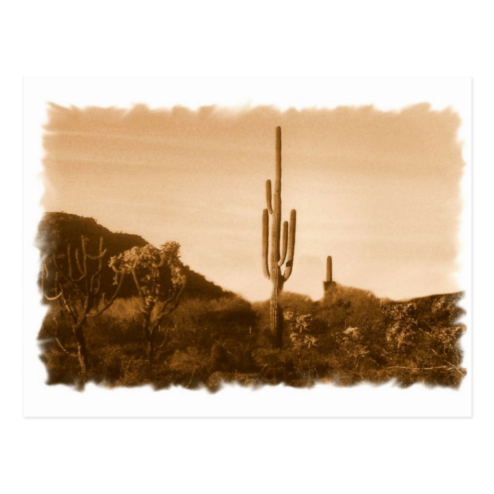 almost gone (desert in sepia) postcard