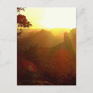 Almost Jurassic Postcard