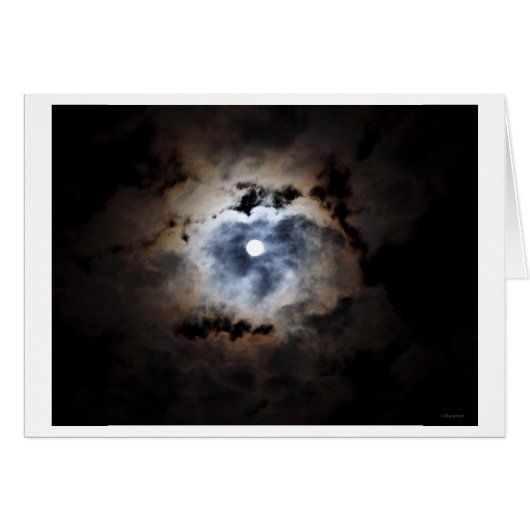 almost midnight (Front Horizontal)