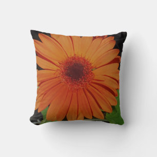 almost solid orange pillow, orange gerber daisy throw pillow