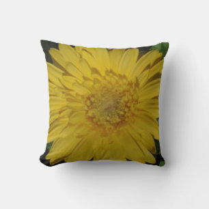 almost solid yellow gerber daisy pillow