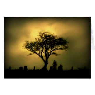 Almost Sunset Cards