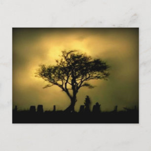 Almost Sunset Postcard