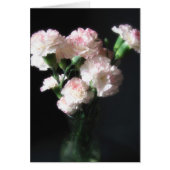 Almost White Carnations 2 (Front)