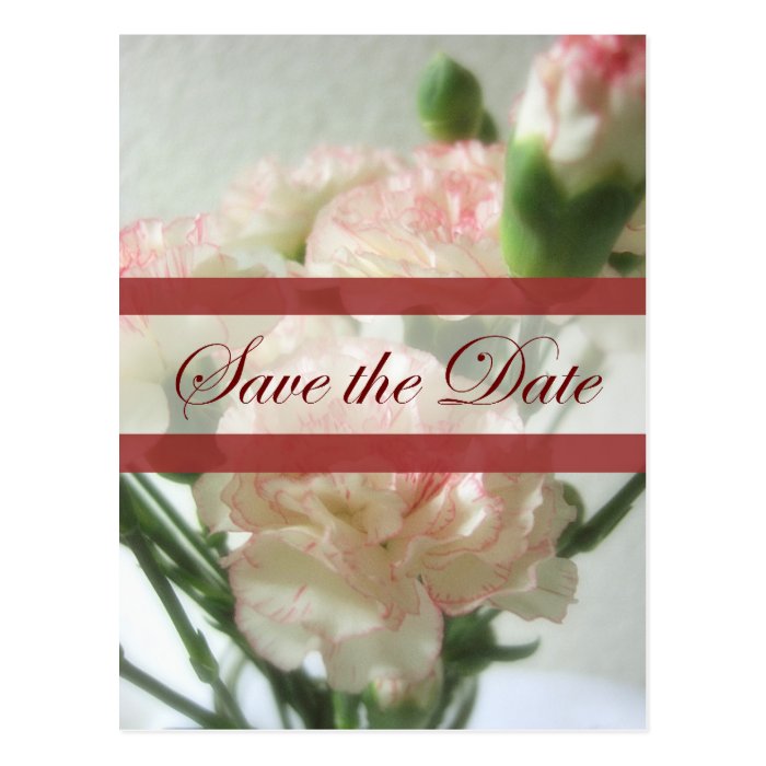 Almost White Carnations 6 Save the Date Wedding Postcards