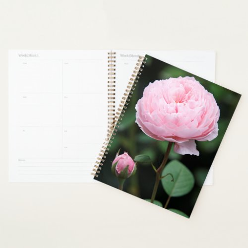 Alnwick Castle Rose Planner