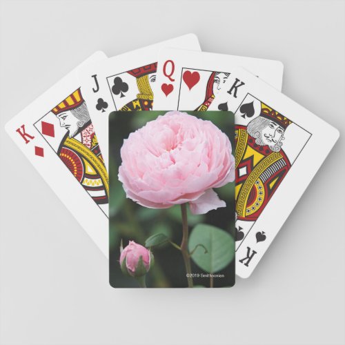 Alnwick Castle Rose Poker Cards