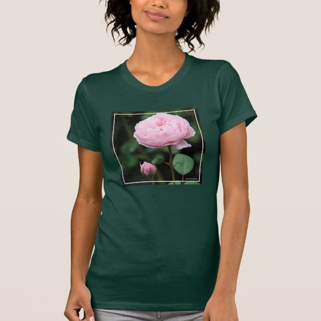 Alnwick Castle Rose T-Shirt (Front)
