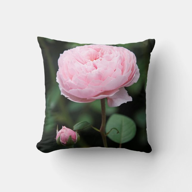 Alnwick Castle Rose Throw Pillow (Front)