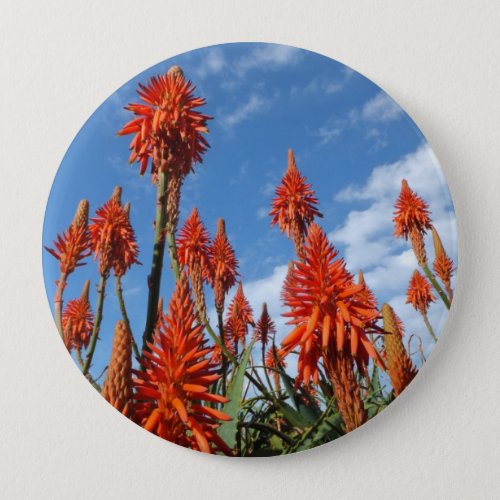 Aloe Arborescens button