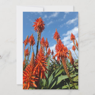 Aloe Arborescens invitation, customize Invitation