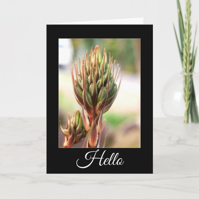 aloe beauty, Hello.. Card (Front)