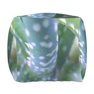 Aloe, Bug's View Outdoor Pouf