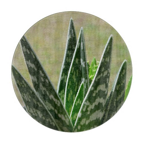 Aloe Gator Variegata Succulent Cutting Board