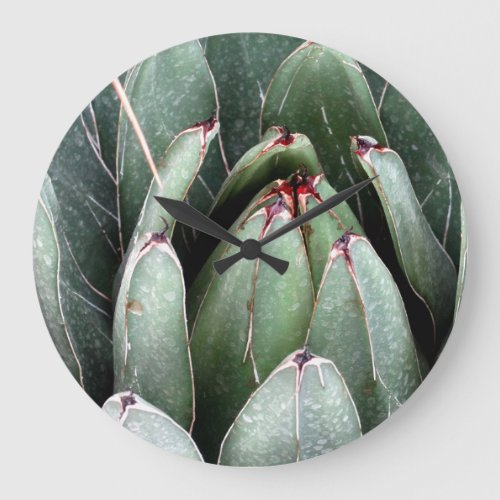 Aloe Green Plant Photo Round Large Wall Clock