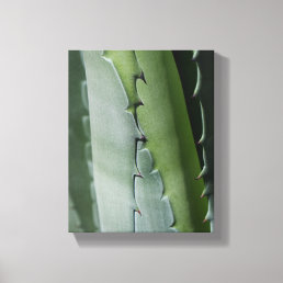 Aloe - Macro Fine Art Photograph Canvas Print