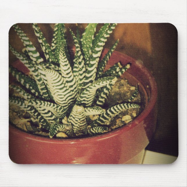 aloe mouse pad (Front)