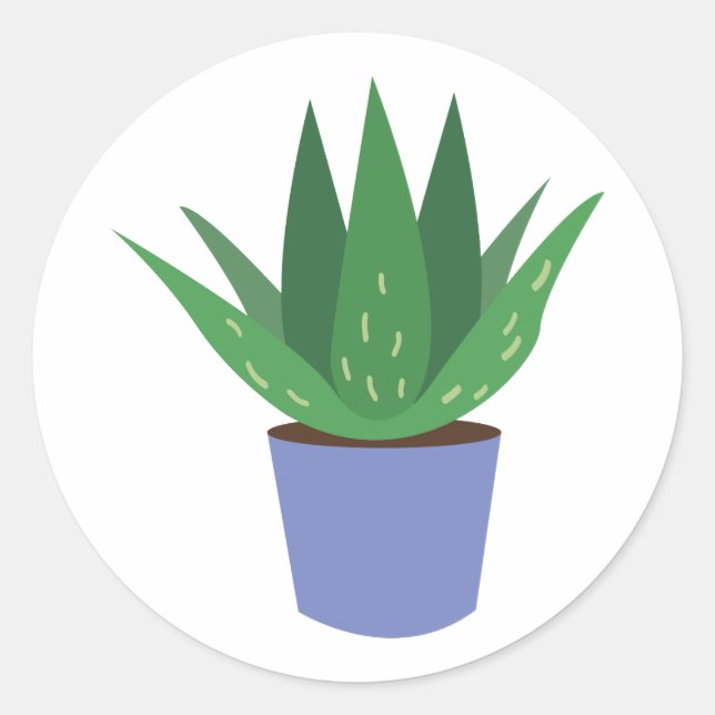 Aloe Plant Classic Round Sticker (Front)