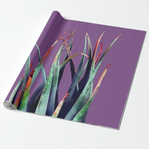 ALoe Plant Photo  Wrapping Paper