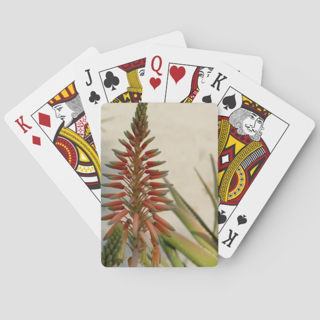 Aloe vera blossom Playing Cards (Back)