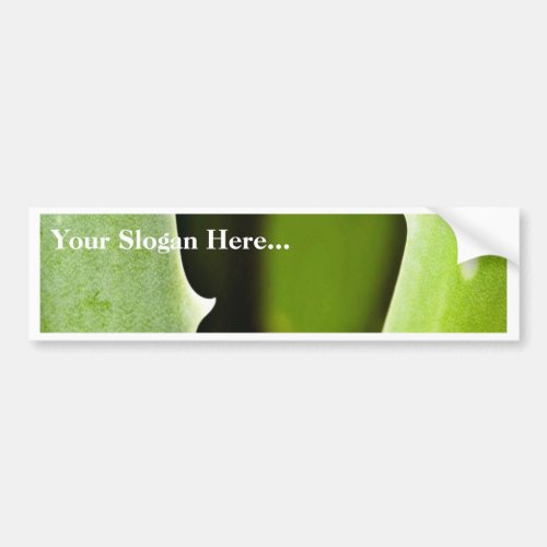 Aloe Vera Bumper Sticker