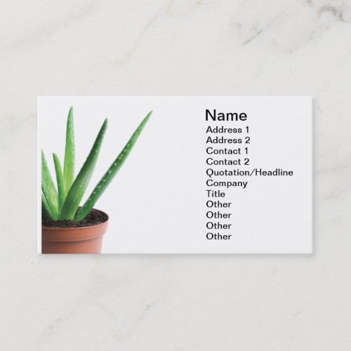 Aloe Vera Business Card