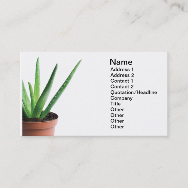Aloe Vera Business Card (Front)