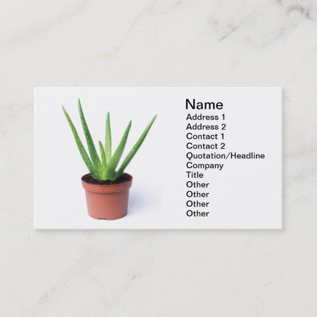 Aloe Vera Business Card (Front)