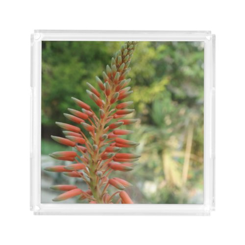 Aloe Vera Flower Blossom Photo Perfume Tray