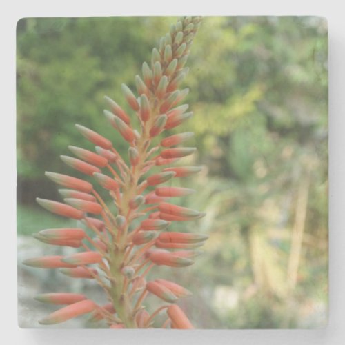 Aloe Vera Flower Blossom Photo Stone Coaster