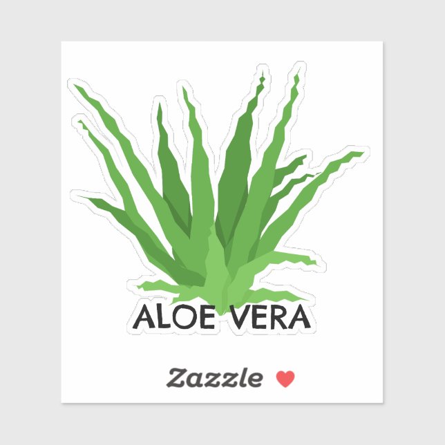 Aloe vera Green Succulent Sticker (Sheet)