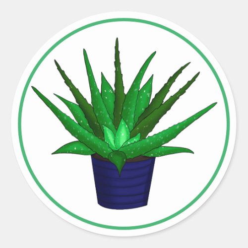 Aloe Vera Hand Drawn Houseplant Art   Classic Round Sticker