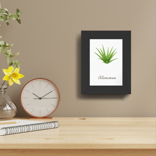 Aloe vera herb Kitchen framed art 