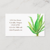 Aloe Vera Herb Watercolor Plant Business Card (Back)