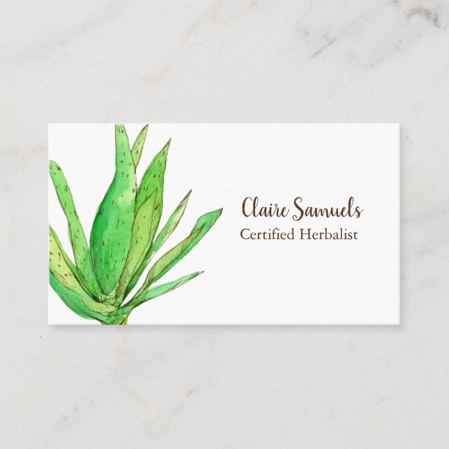 Aloe Vera Herb Watercolor Plant Business Card (Front)