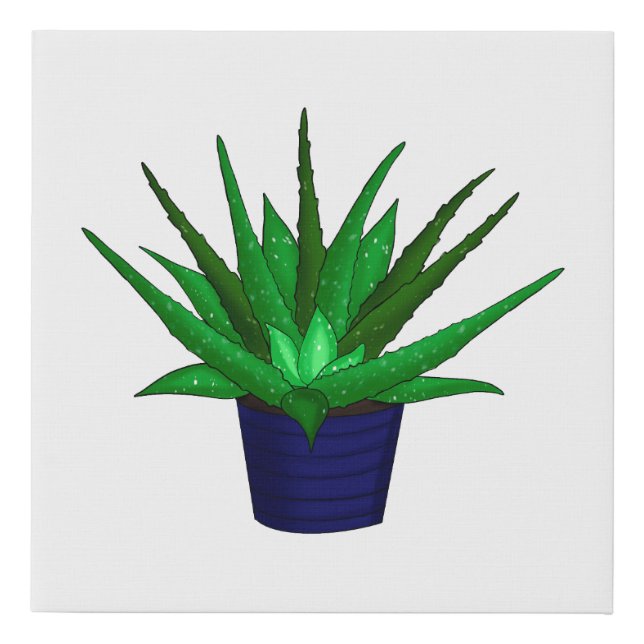 Aloe Vera Houseplant Drawing Faux Canvas Print (Front)