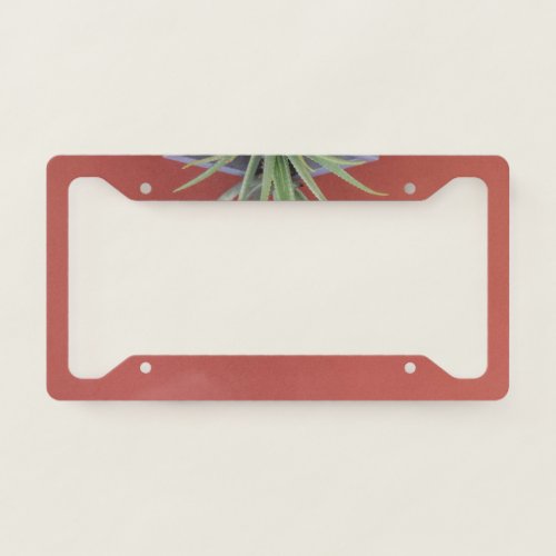 Aloe Vera in a Pot 1 wall decor art  License Plate Frame