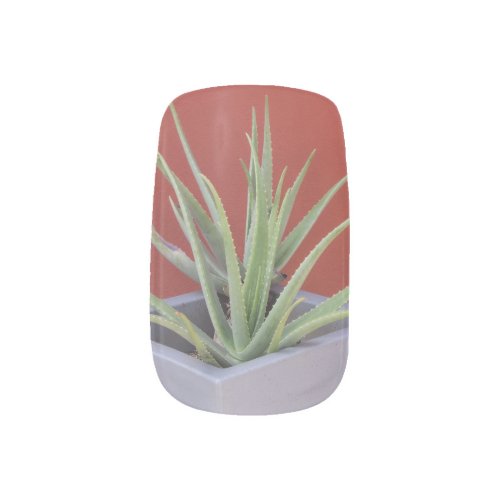 Aloe Vera in a Pot 1 wall decor art  Minx Nail Art