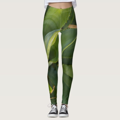 Aloe Vera Leggings